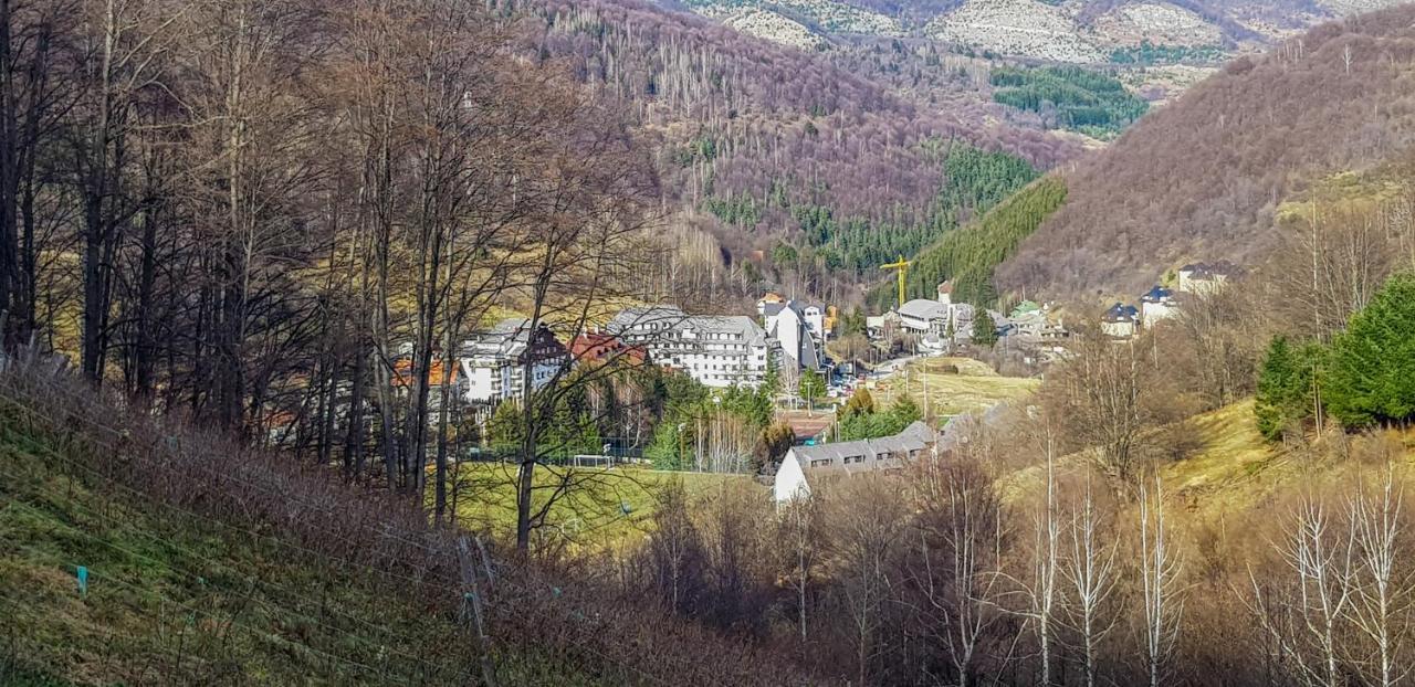 Apartman Cvejic - Suncani Apartmani Brzeće Kültér fotó